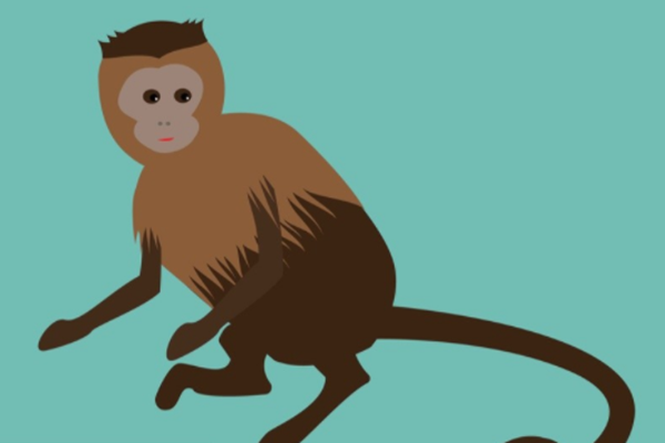 在线八字算命而你知道生于1980年的属猴是什么命吗