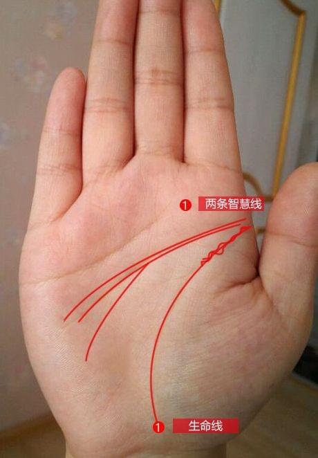 手相智慧线长|手相智慧线长是好手相吗？