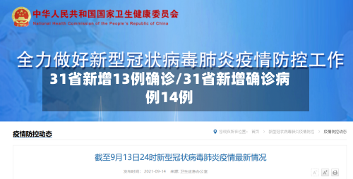 31省新增13例确诊/31省新增确诊病例14例
