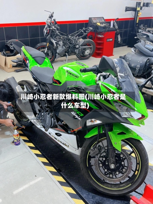 川崎小忍者新款爆料图(川崎小忍者是什么车型)-第2张图片