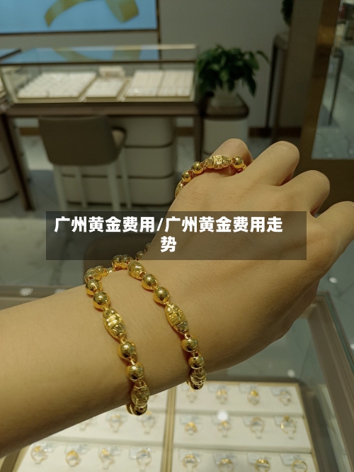 广州黄金费用/广州黄金费用走势-第3张图片
