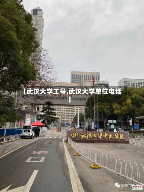 【武汉大学工号,武汉大学单位电话】
