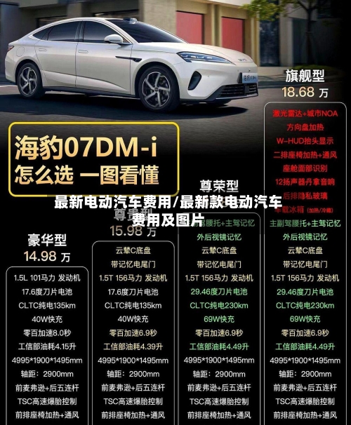 最新电动汽车费用/最新款电动汽车费用及图片