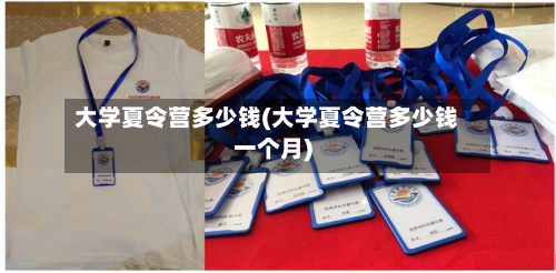 大学夏令营多少钱(大学夏令营多少钱一个月)