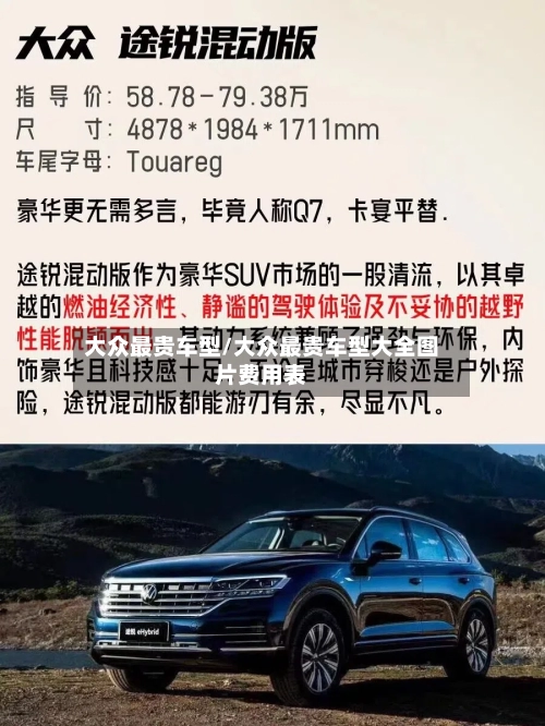 大众最贵车型/大众最贵车型大全图片费用表