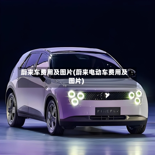 蔚来车费用及图片(蔚来电动车费用及图片)
