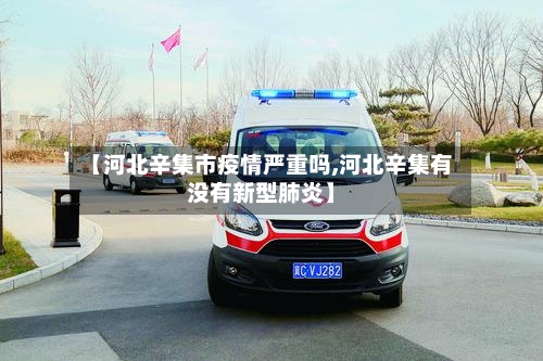 【河北辛集市疫情严重吗,河北辛集有没有新型肺炎】-第3张图片