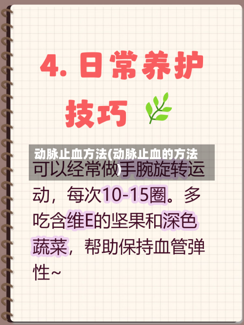 动脉止血方法(动脉止血的方法)