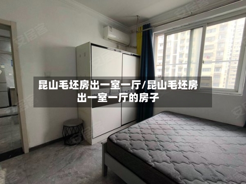 昆山毛坯房出一室一厅/昆山毛坯房出一室一厅的房子-第2张图片