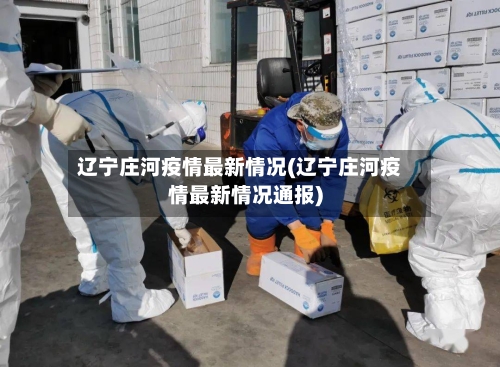 辽宁庄河疫情最新情况(辽宁庄河疫情最新情况通报)-第2张图片