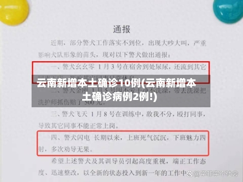 云南新增本土确诊10例(云南新增本土确诊病例2例!)-第3张图片