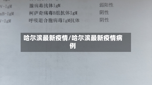 哈尔滨最新疫情/哈尔滨最新疫情病例-第2张图片