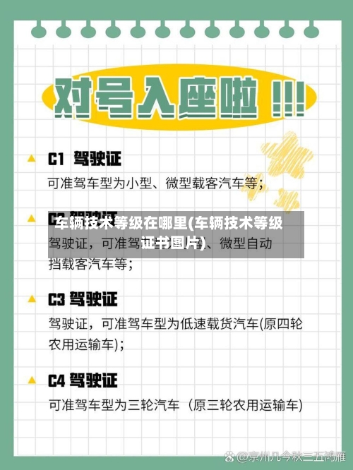 车辆技术等级在哪里(车辆技术等级证书图片)