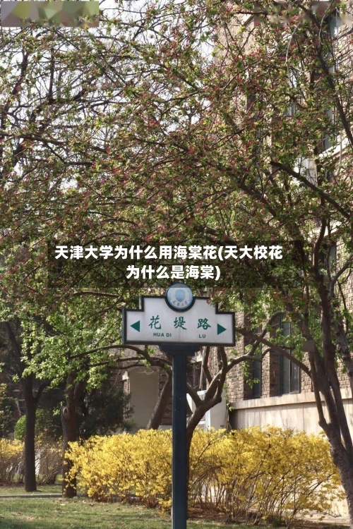 天津大学为什么用海棠花(天大校花为什么是海棠)-第3张图片