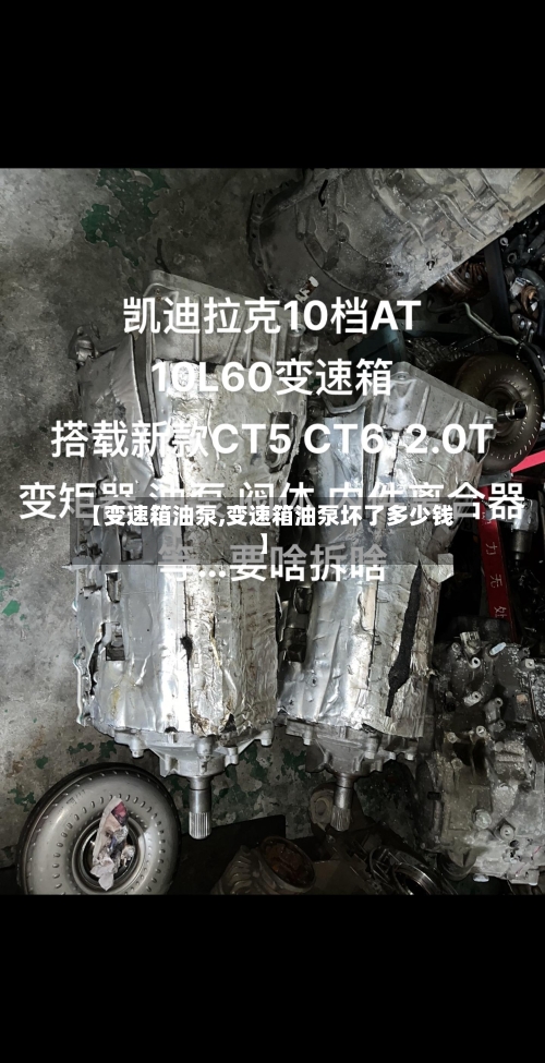 【变速箱油泵,变速箱油泵坏了多少钱】