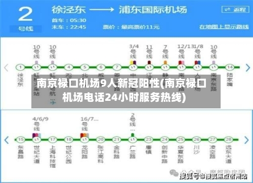 南京禄口机场9人新冠阳性(南京禄口机场电话24小时服务热线)-第3张图片