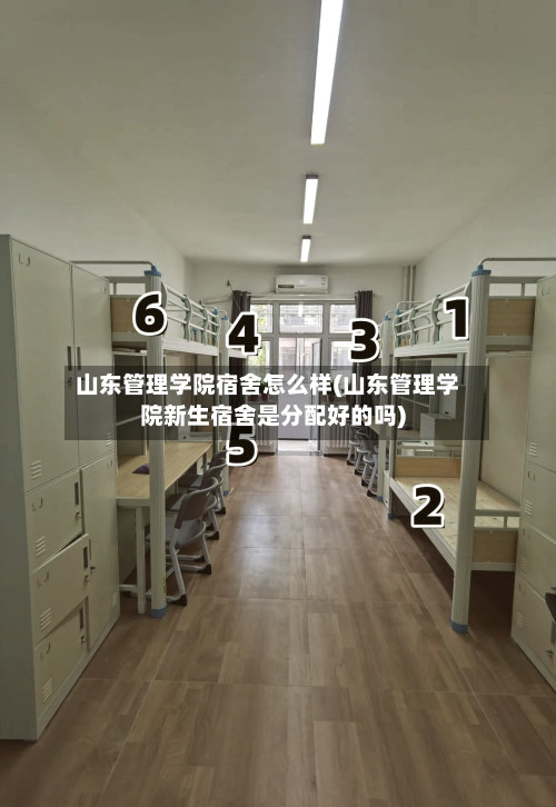 山东管理学院宿舍怎么样(山东管理学院新生宿舍是分配好的吗)-第3张图片