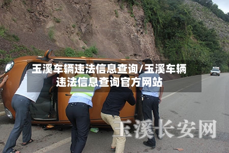 玉溪车辆违法信息查询/玉溪车辆违法信息查询官方网站