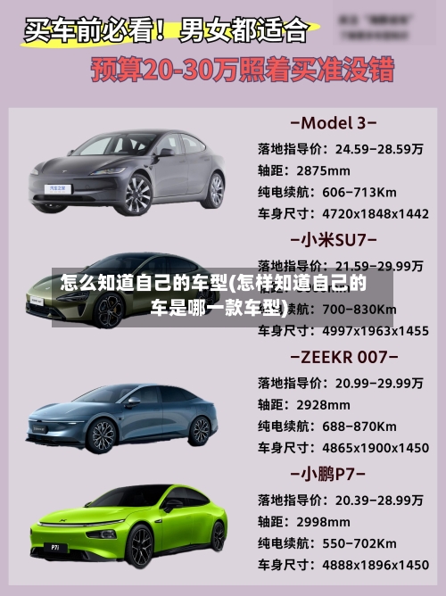 怎么知道自己的车型(怎样知道自己的车是哪一款车型)-第3张图片