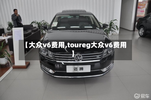 【大众v6费用,toureg大众v6费用】-第3张图片