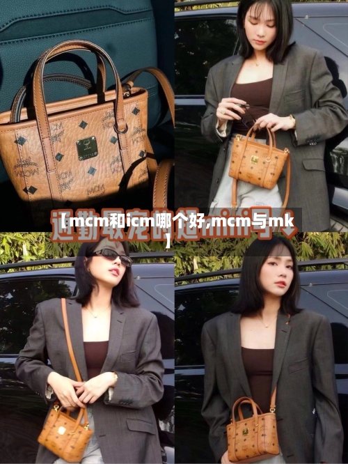 【mcm和icm哪个好,mcm与mk】-第3张图片