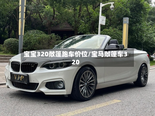 宝宝320敞篷跑车价位/宝马敞篷车320-第3张图片