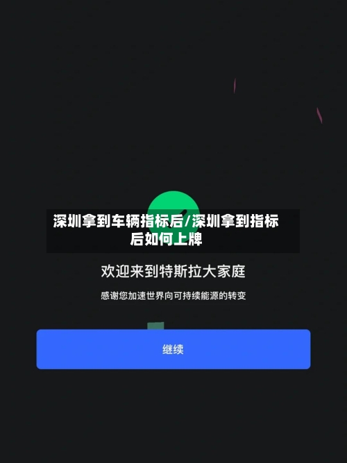 深圳拿到车辆指标后/深圳拿到指标后如何上牌-第2张图片