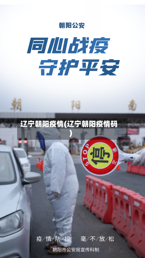 辽宁朝阳疫情(辽宁朝阳疫情码)-第2张图片