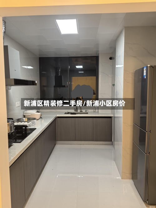 新浦区精装修二手房/新浦小区房价