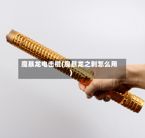 魔暴龙电击棍(魔暴龙之刺怎么用)
