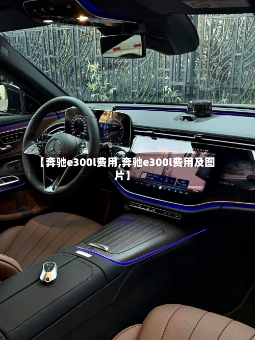 【奔驰e300l费用,奔驰e300l费用及图片】-第2张图片