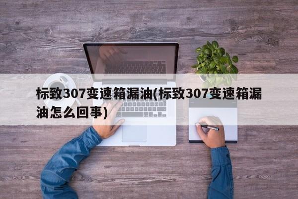 标致307变速箱漏油(标致307变速箱漏油怎么回事)