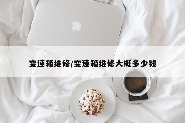 变速箱维修/变速箱维修大概多少钱