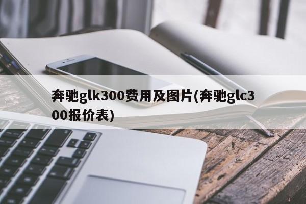 奔驰glk300费用及图片(奔驰glc300报价表)