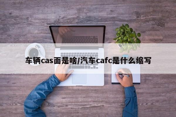 车辆cas面是啥/汽车cafc是什么缩写