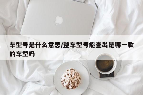 车型号是什么意思/整车型号能查出是哪一款的车型吗